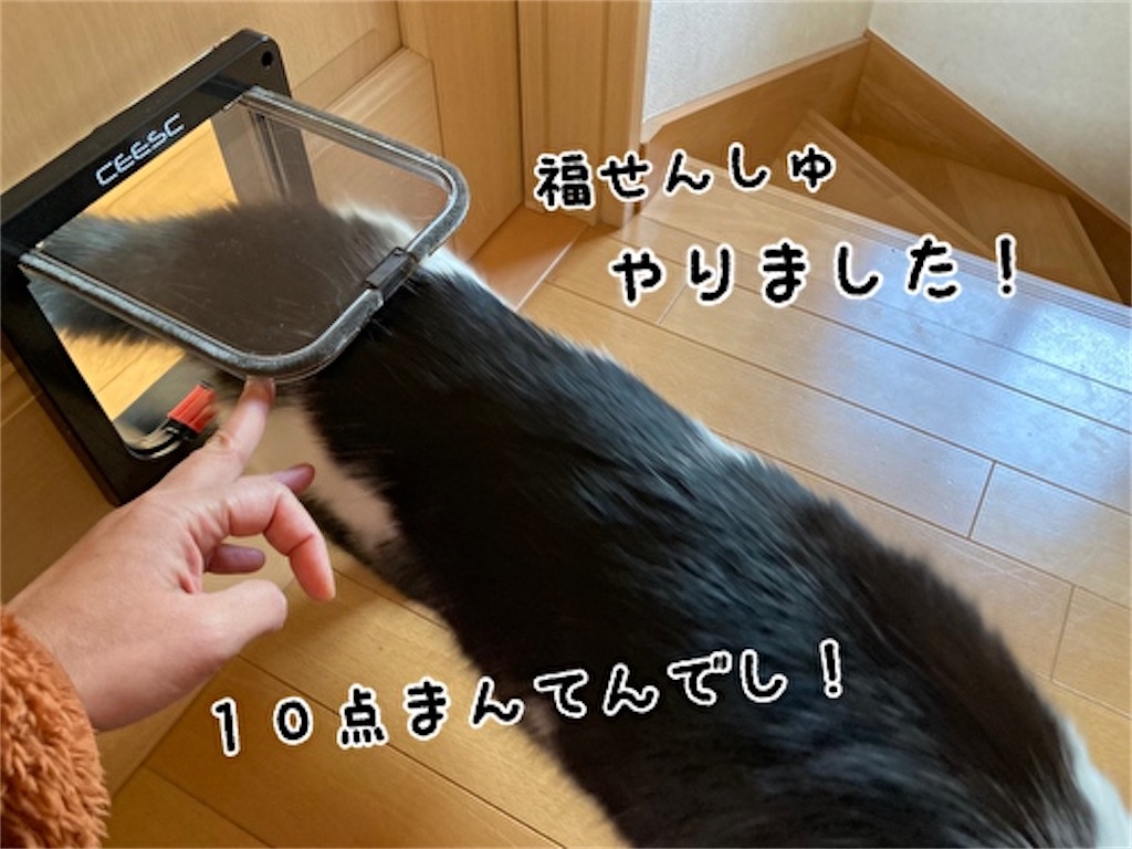 f:id:fukufukudo:20211204080218j:plain