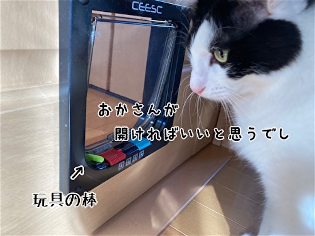 f:id:fukufukudo:20211204170653j:plain