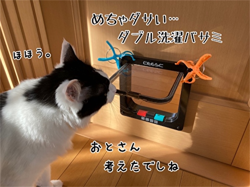 f:id:fukufukudo:20211204170702j:plain