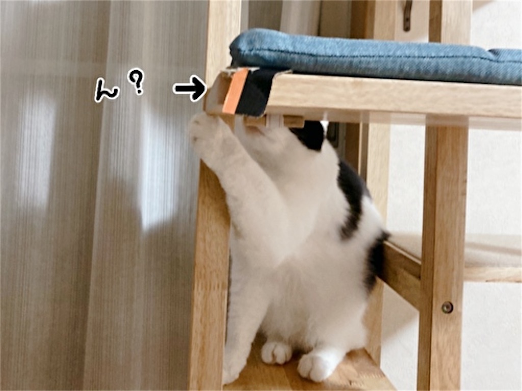 f:id:fukufukudo:20211206144941j:plain