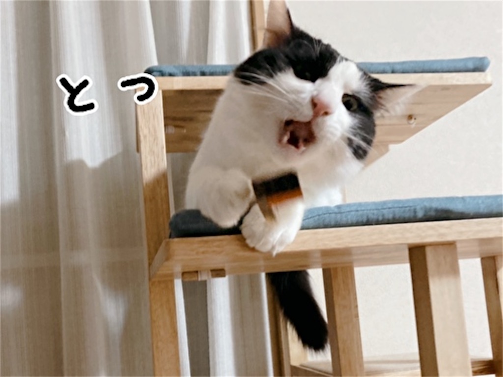 f:id:fukufukudo:20211206145054j:plain