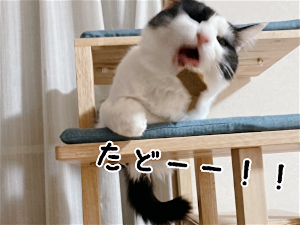 f:id:fukufukudo:20211206145103j:plain