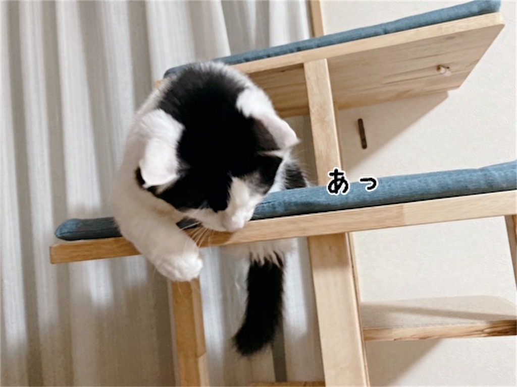 f:id:fukufukudo:20211206145112j:plain