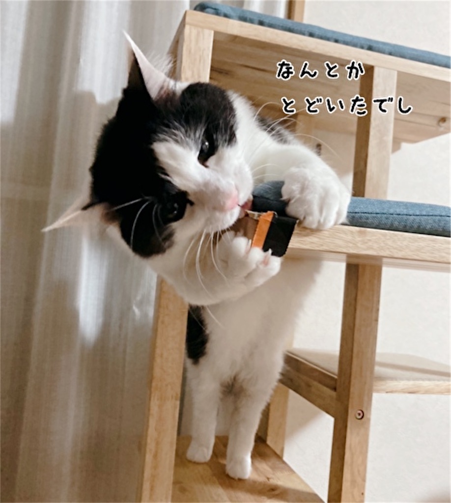 f:id:fukufukudo:20211208150244j:plain