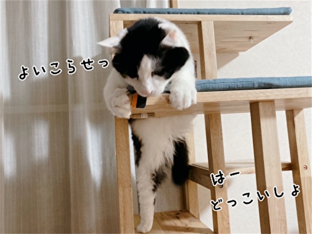 f:id:fukufukudo:20211208150309j:plain