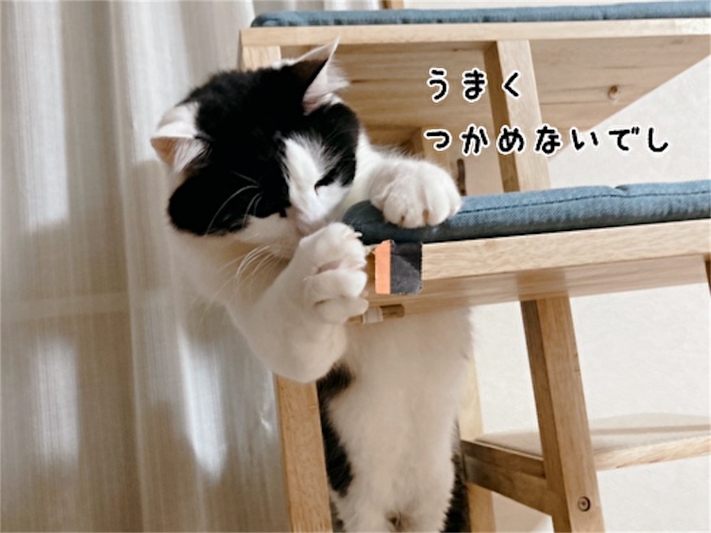 f:id:fukufukudo:20211208150535j:plain