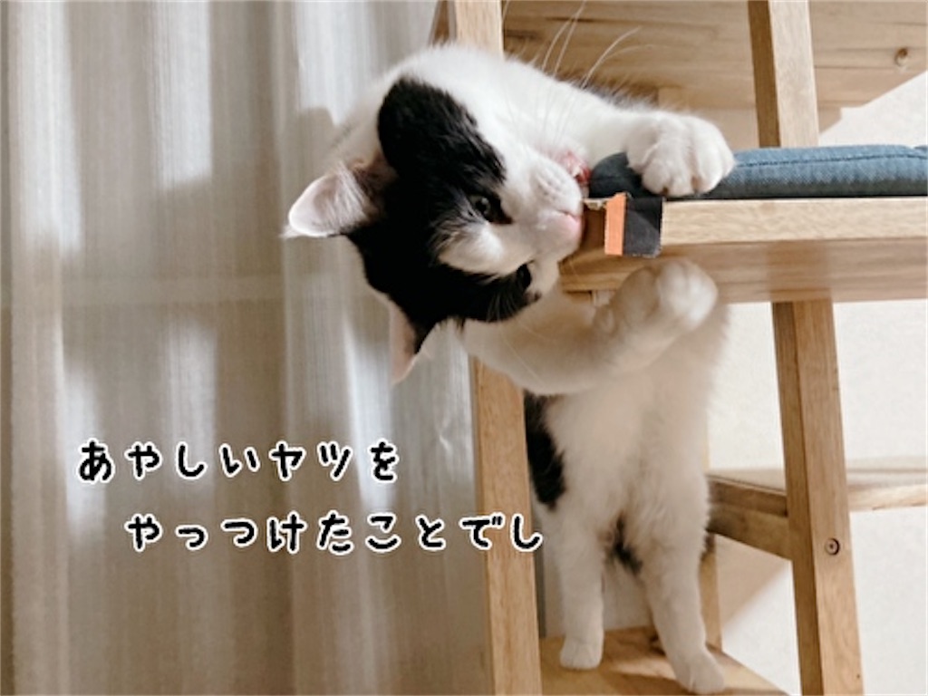 f:id:fukufukudo:20211209160219j:plain