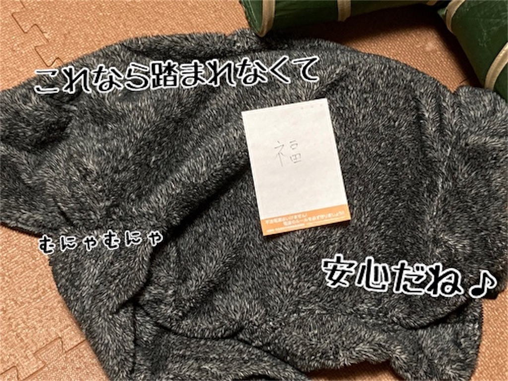 f:id:fukufukudo:20211211201921j:plain