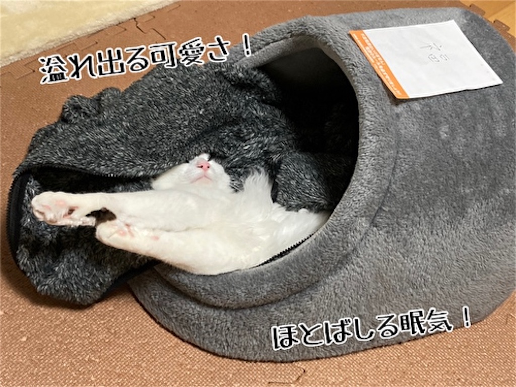 f:id:fukufukudo:20211211202018j:plain