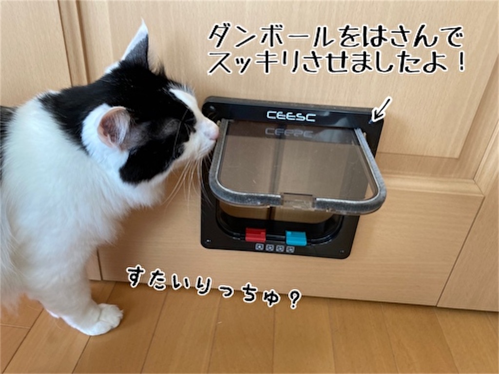 f:id:fukufukudo:20211213160720j:plain
