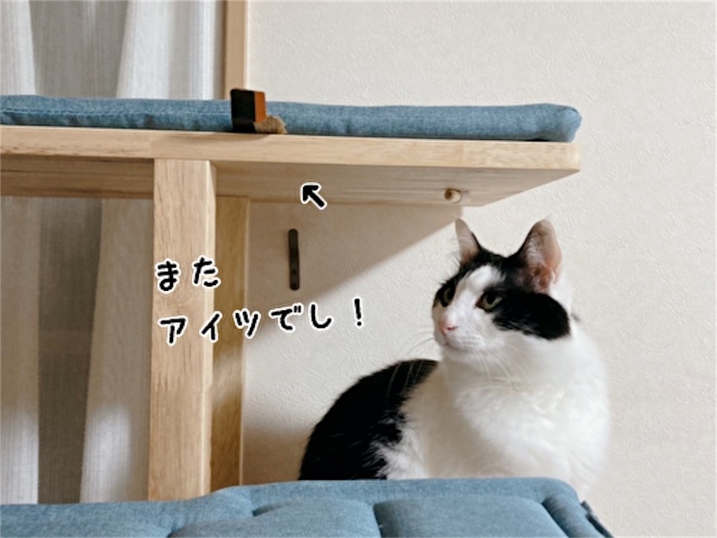 f:id:fukufukudo:20211215175447j:plain