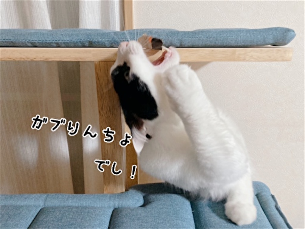 f:id:fukufukudo:20211215175617j:plain