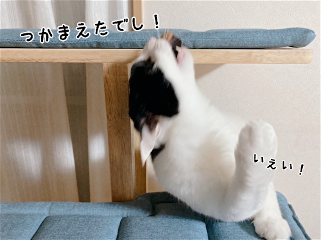 f:id:fukufukudo:20211215175636j:plain