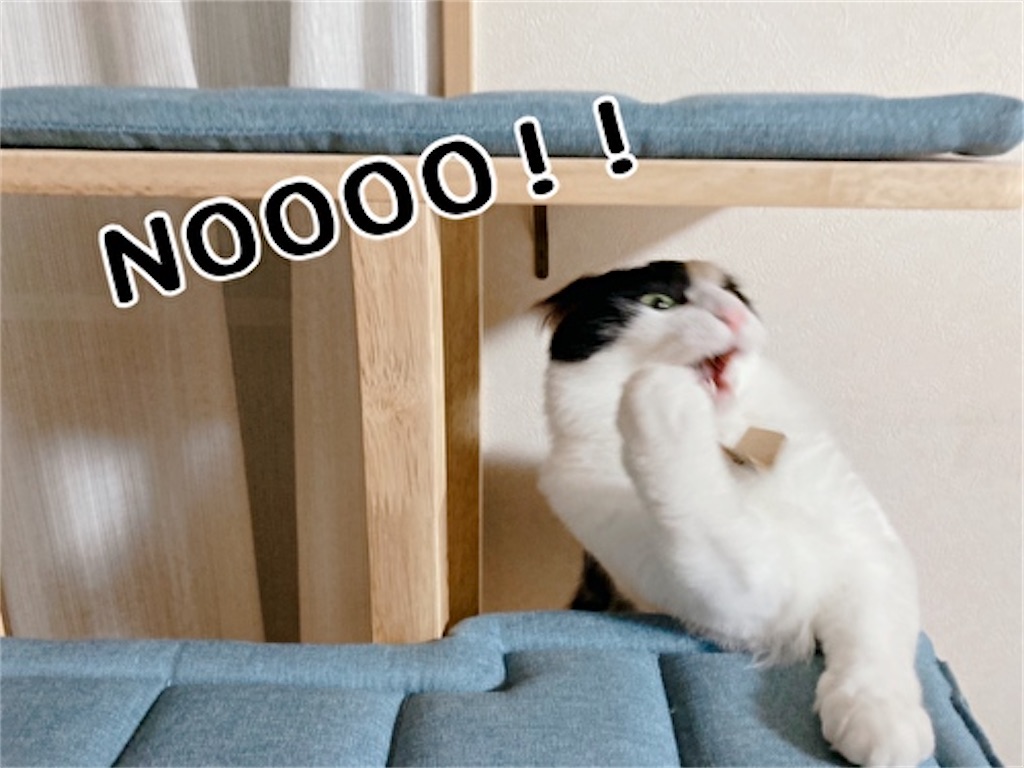 f:id:fukufukudo:20211215175923j:plain