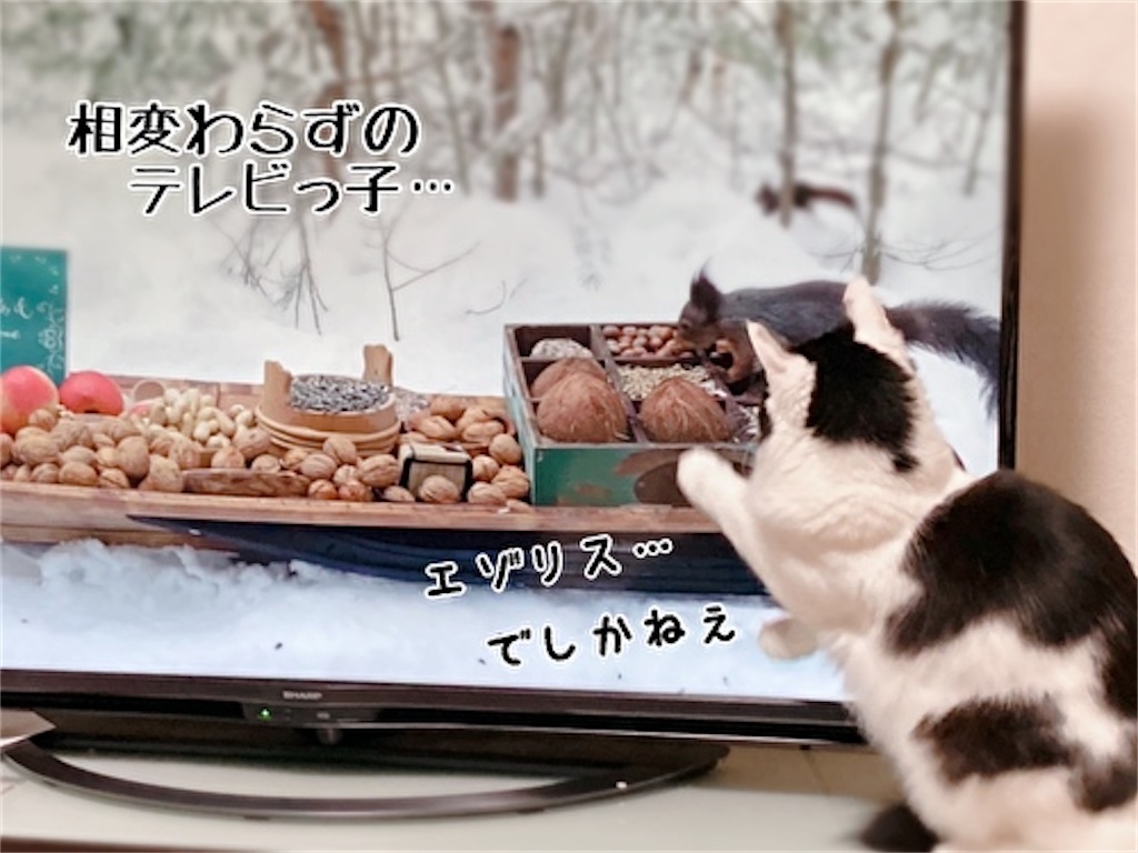 f:id:fukufukudo:20211220144243j:plain