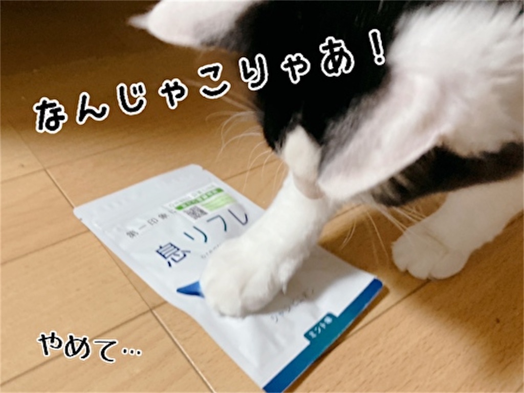 f:id:fukufukudo:20211220144259j:plain