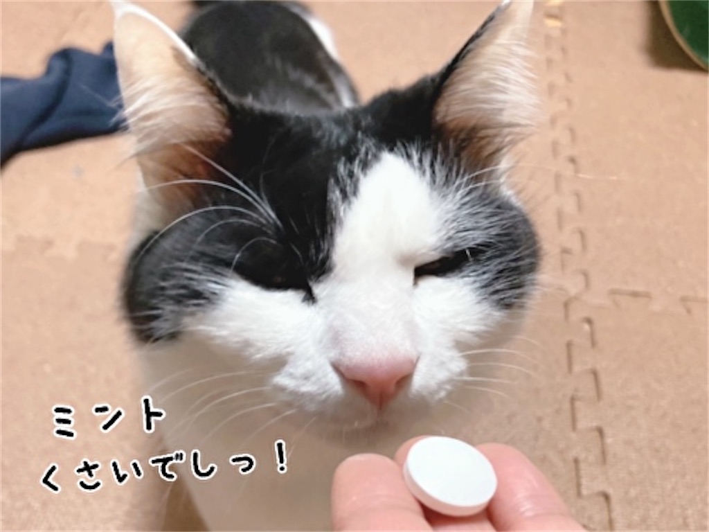 f:id:fukufukudo:20211220144319j:plain