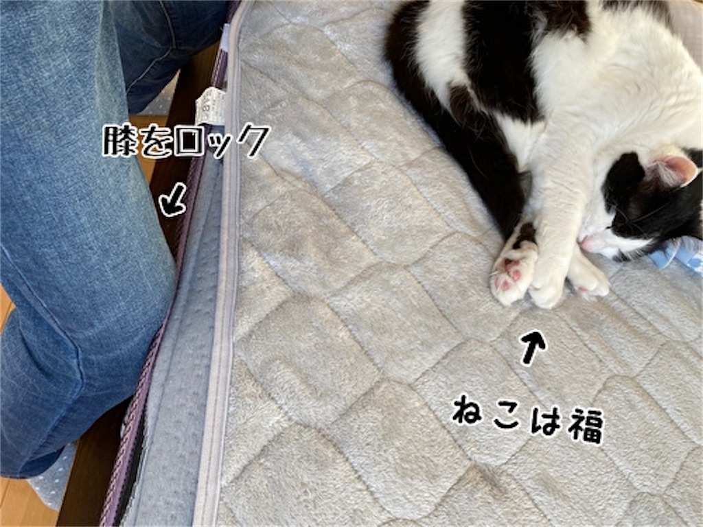 f:id:fukufukudo:20211220144443j:plain