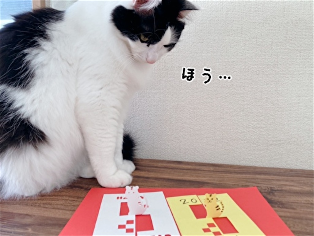 f:id:fukufukudo:20211221202752j:plain