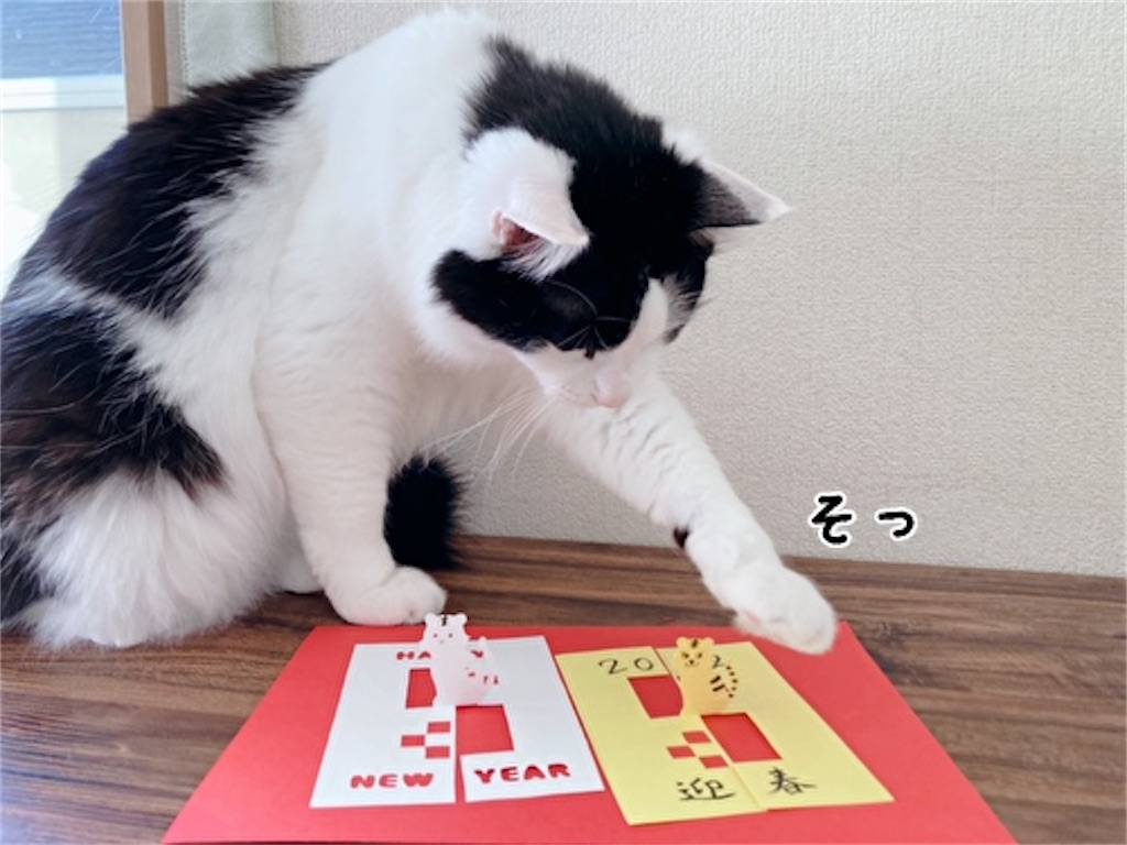 f:id:fukufukudo:20211221202801j:plain