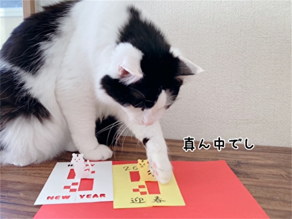 f:id:fukufukudo:20211221202808j:plain