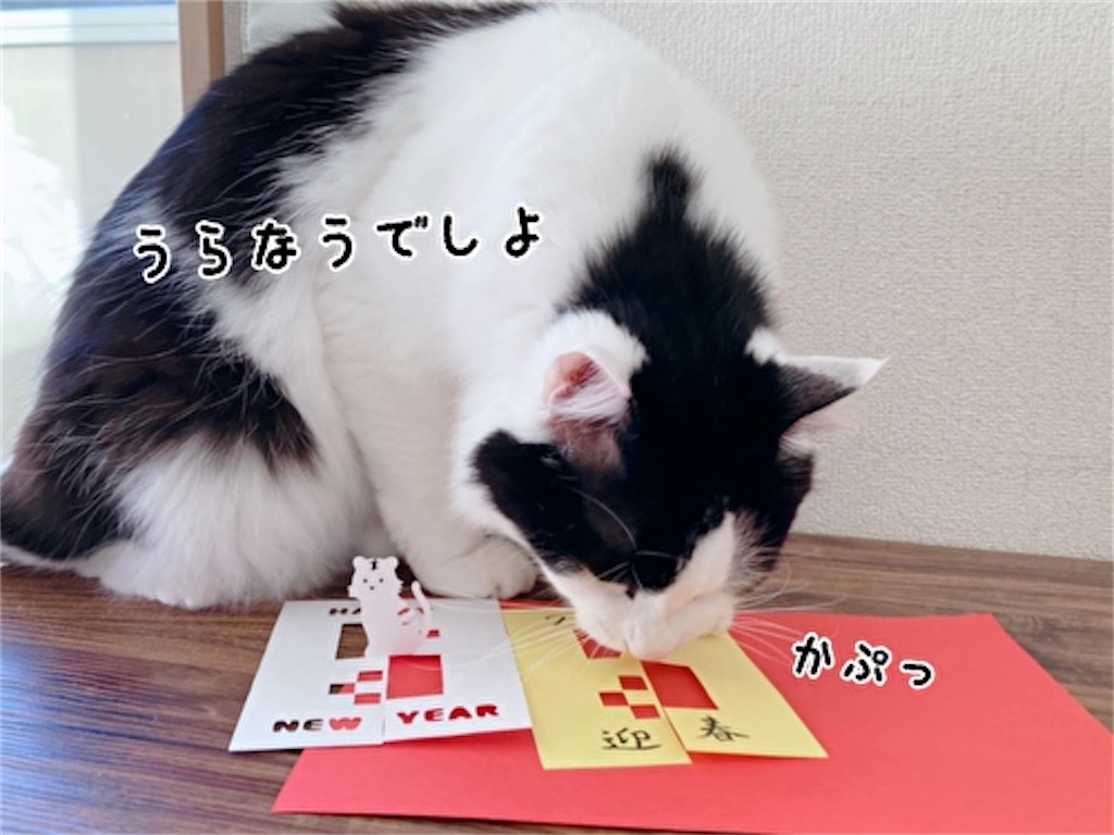 f:id:fukufukudo:20211221202823j:plain