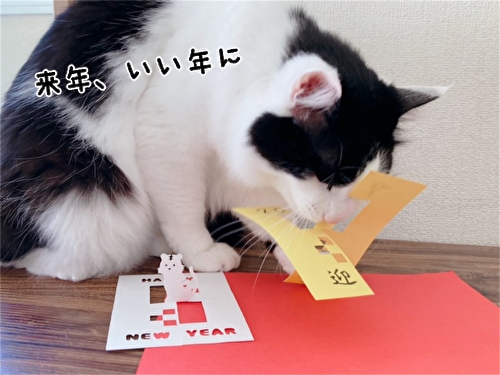 f:id:fukufukudo:20211221202844j:plain