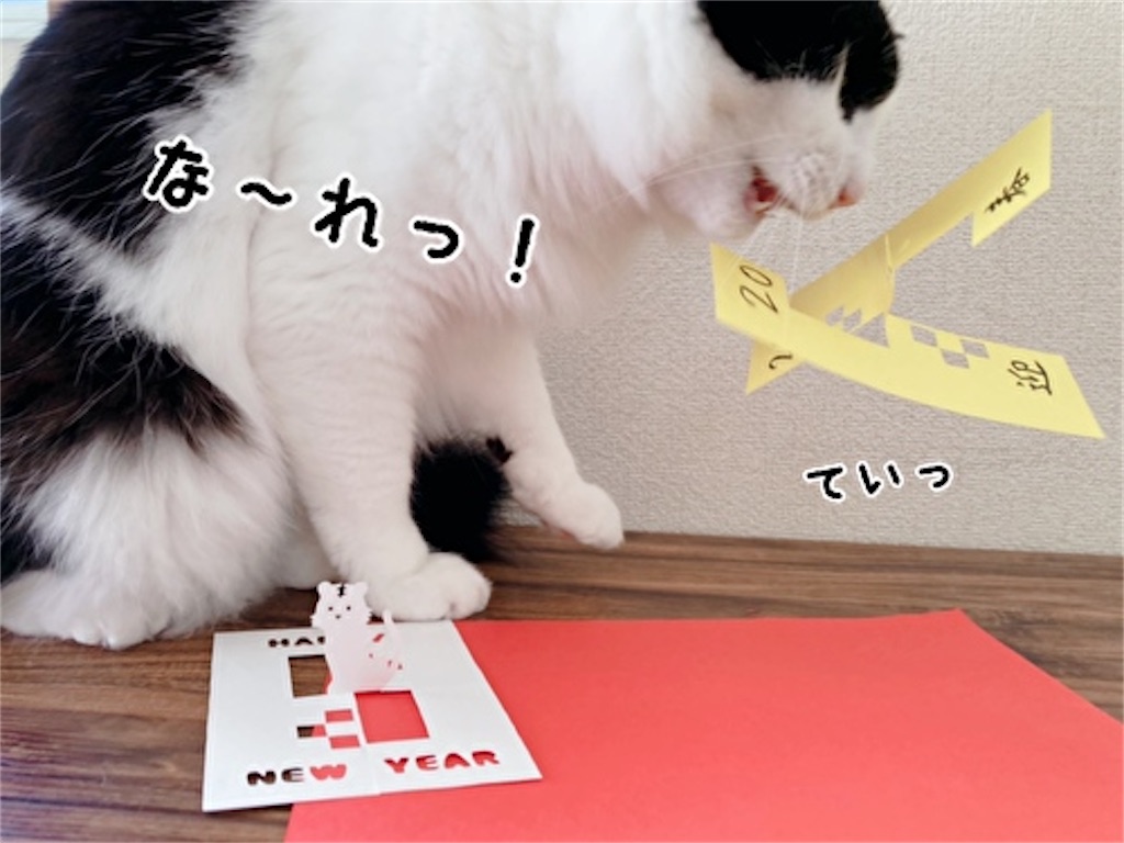 f:id:fukufukudo:20211221202916j:plain