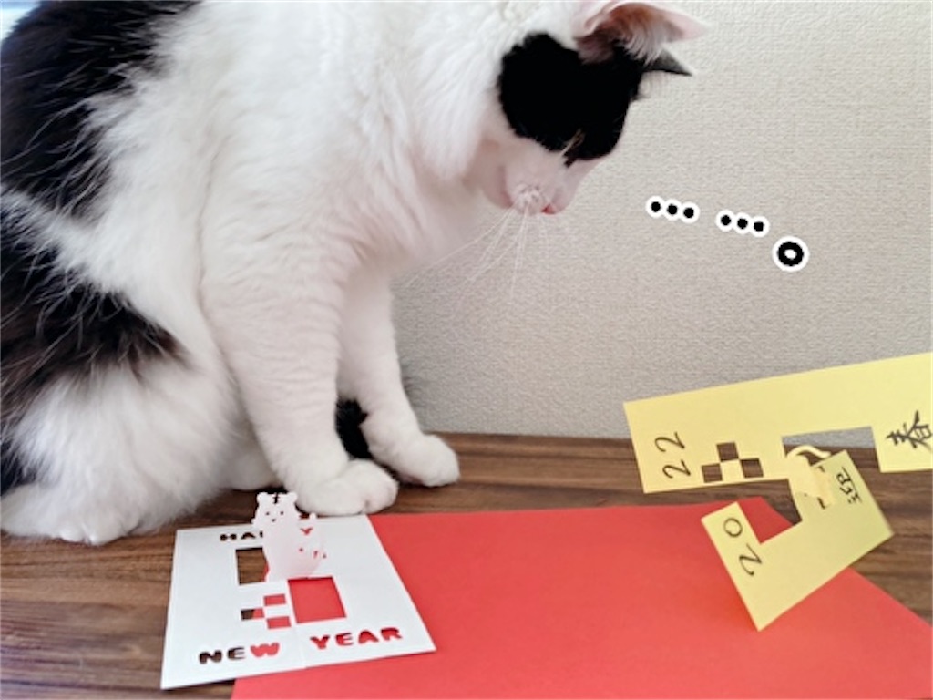 f:id:fukufukudo:20211221202935j:plain