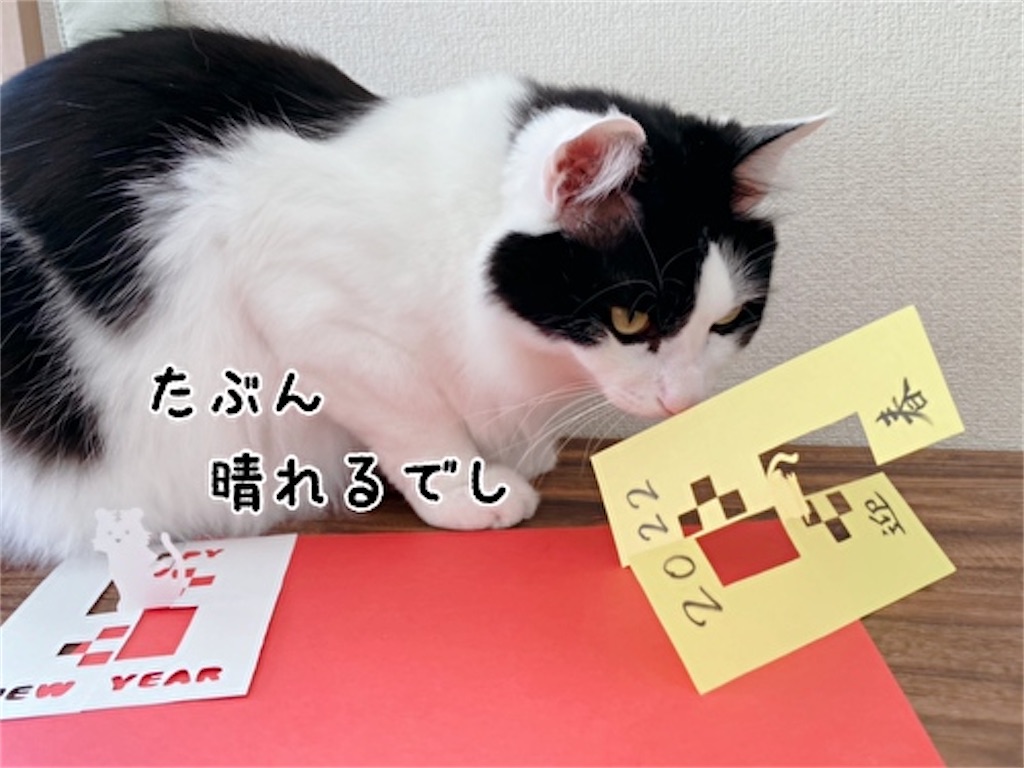f:id:fukufukudo:20211221202949j:plain