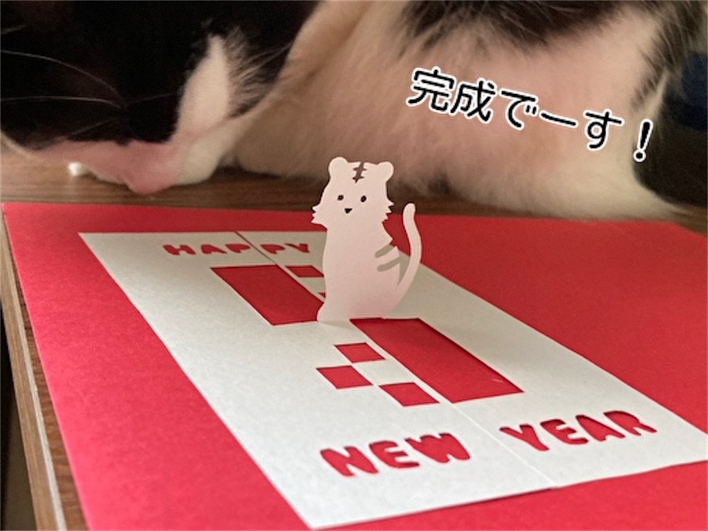 f:id:fukufukudo:20211222092737j:plain