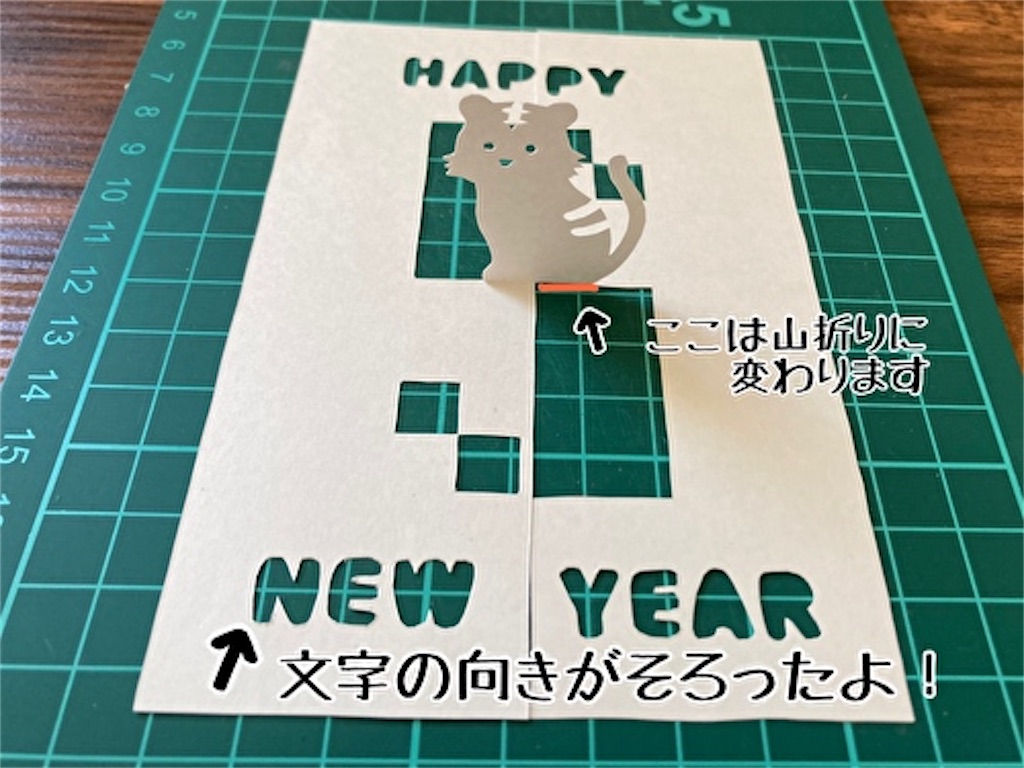 f:id:fukufukudo:20211222161147j:plain