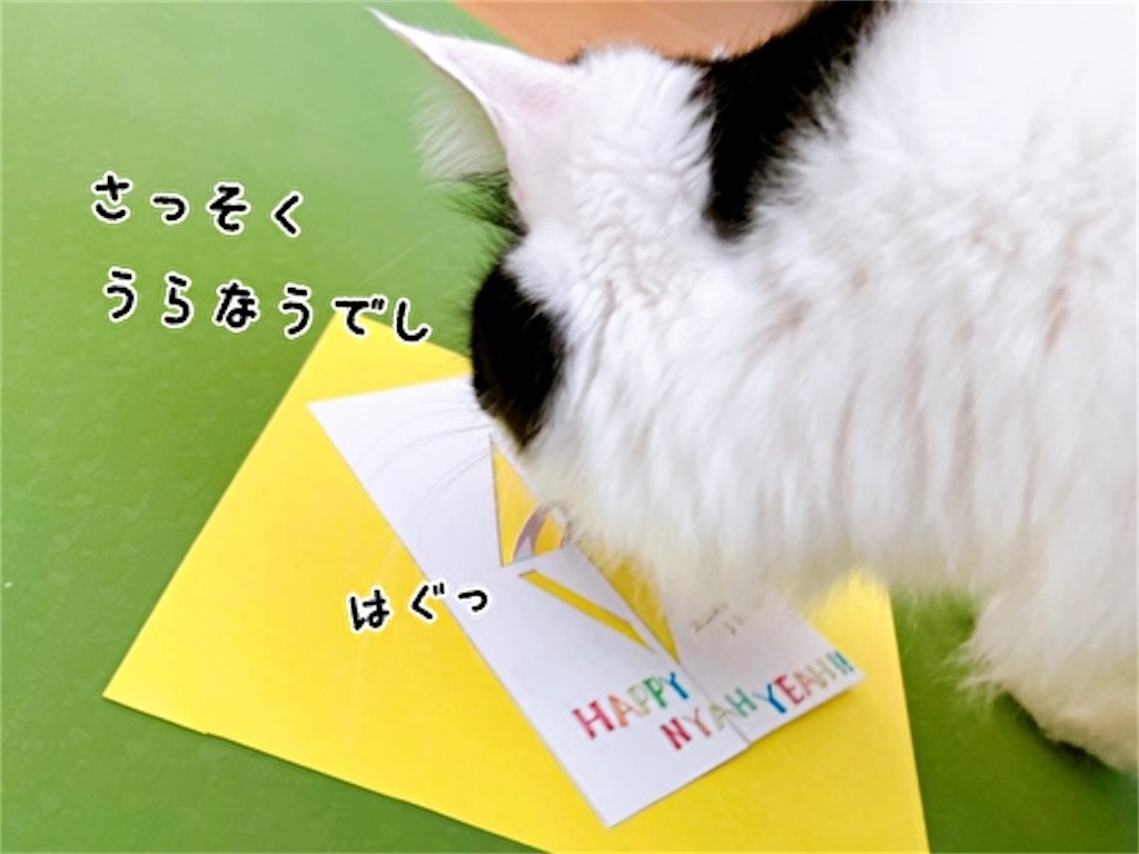 f:id:fukufukudo:20211223163938j:plain