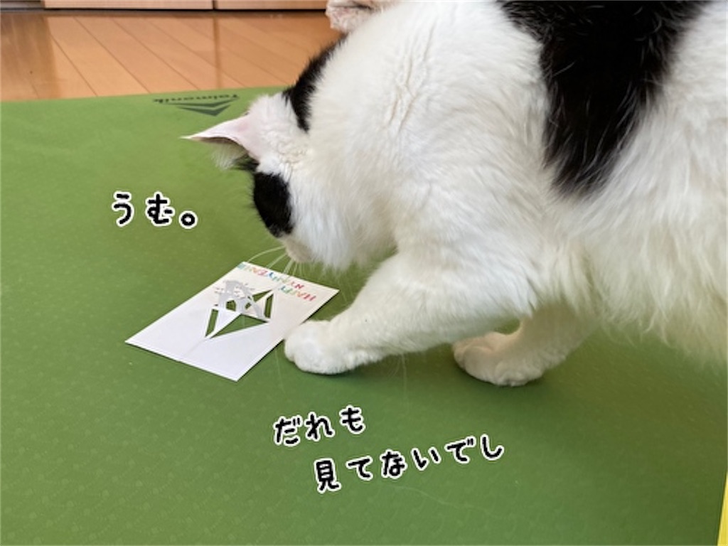 f:id:fukufukudo:20211223164119j:plain