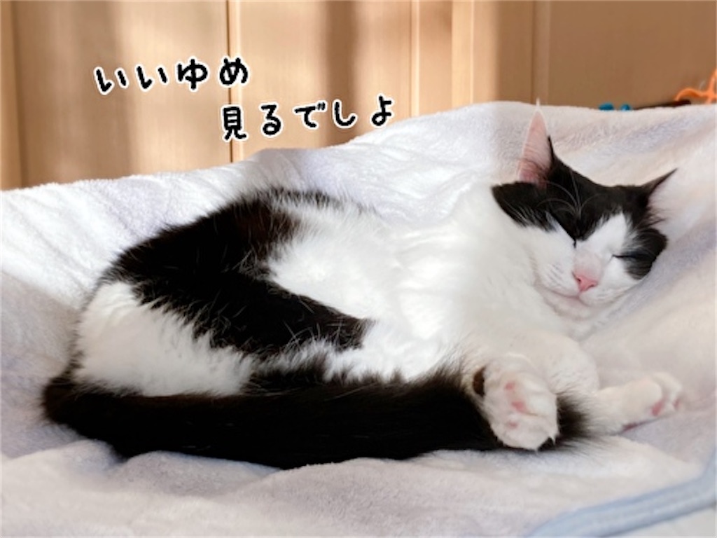 f:id:fukufukudo:20211227140356j:plain