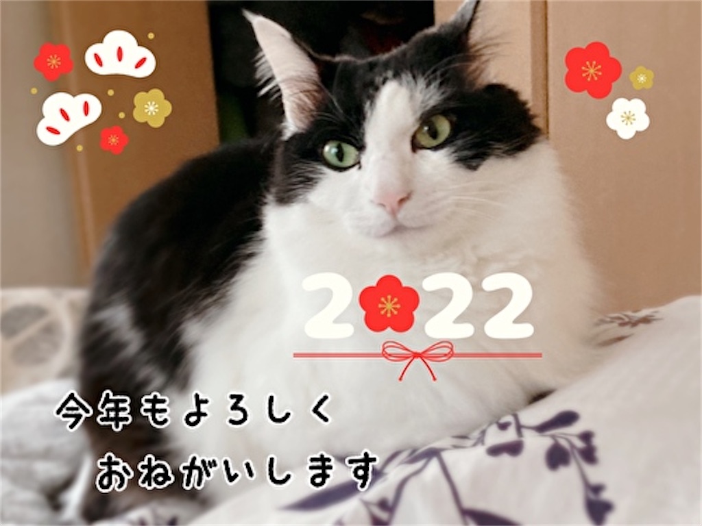 f:id:fukufukudo:20220102184105j:plain