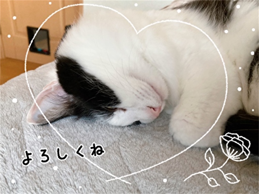 f:id:fukufukudo:20220102184213j:plain
