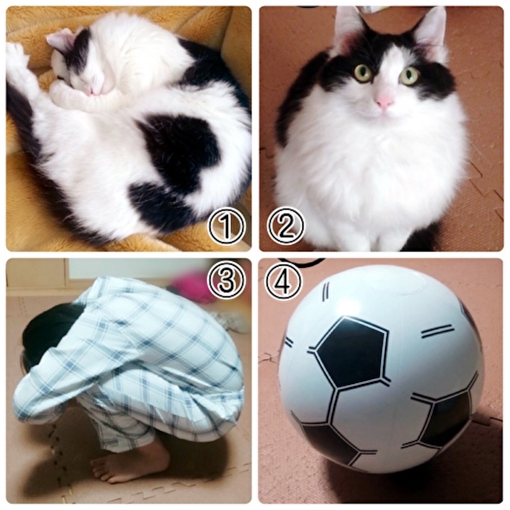 f:id:fukufukudo:20220102190418j:plain