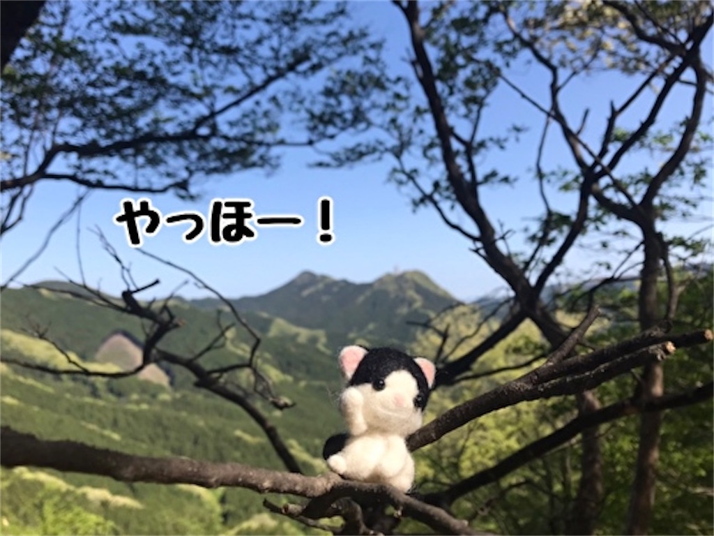f:id:fukufukudo:20220112120742j:plain
