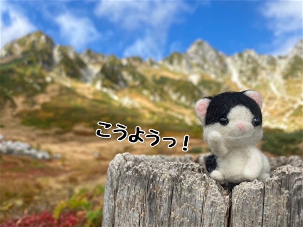 f:id:fukufukudo:20220112120819j:plain