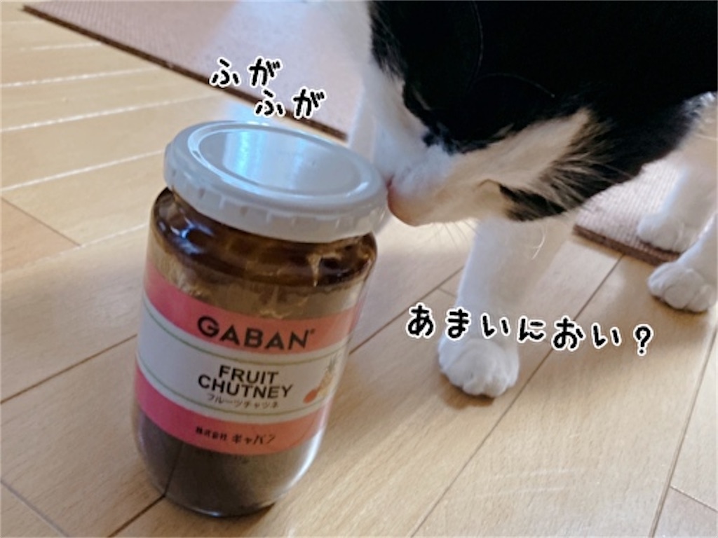 f:id:fukufukudo:20220113170248j:plain