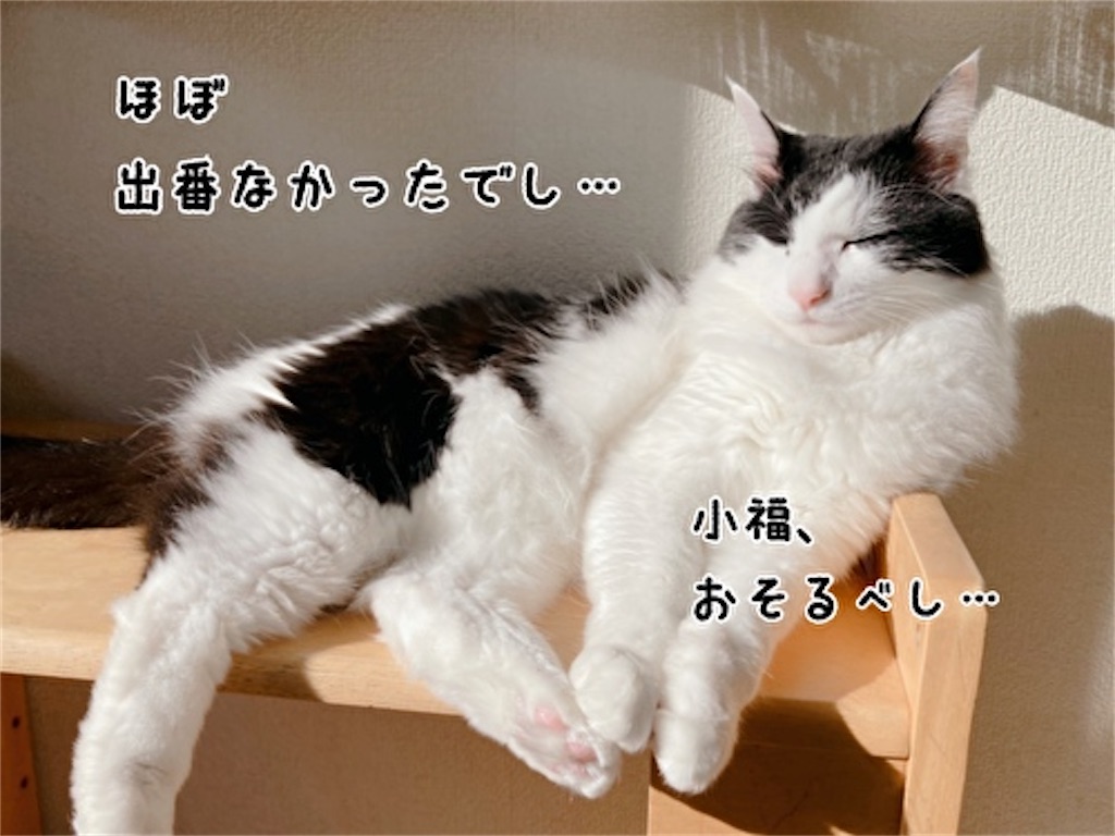 f:id:fukufukudo:20220113170537j:plain