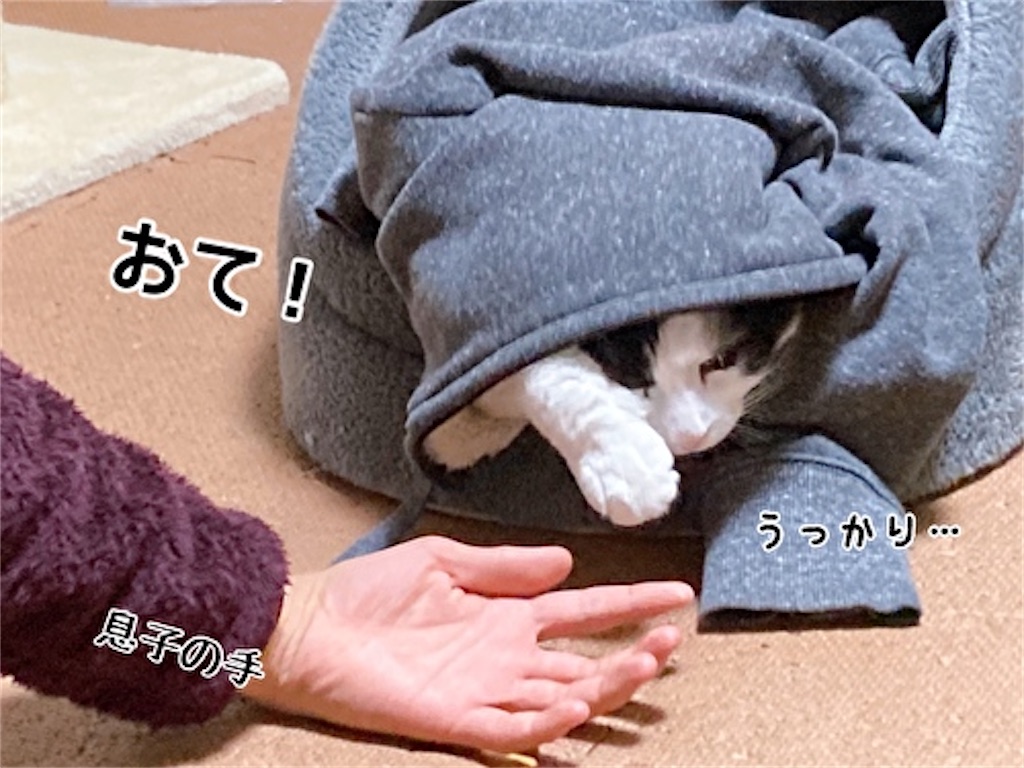 f:id:fukufukudo:20220116184722j:plain