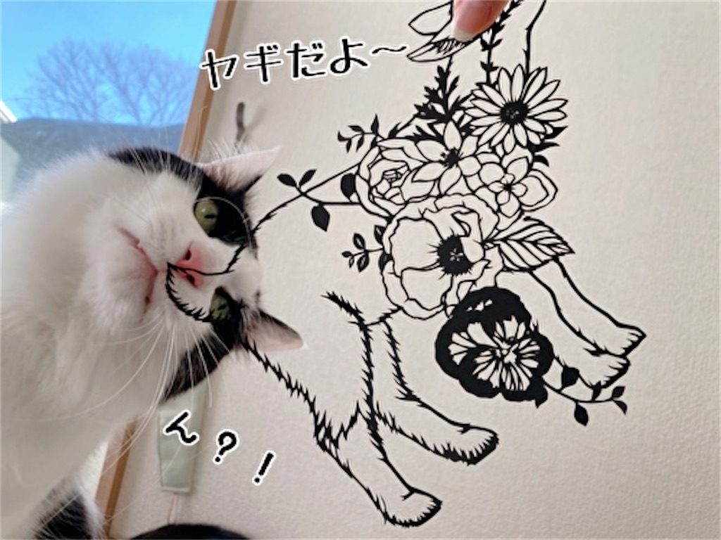 f:id:fukufukudo:20220116184814j:plain