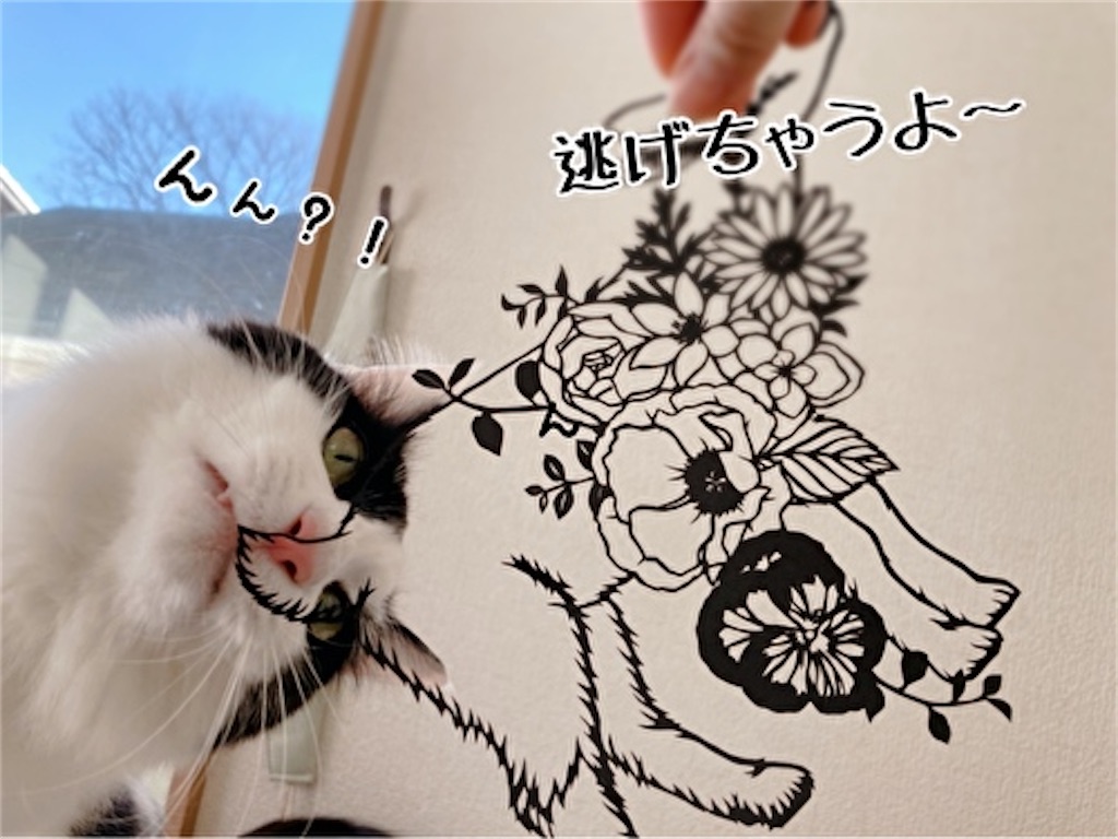 f:id:fukufukudo:20220116184833j:plain