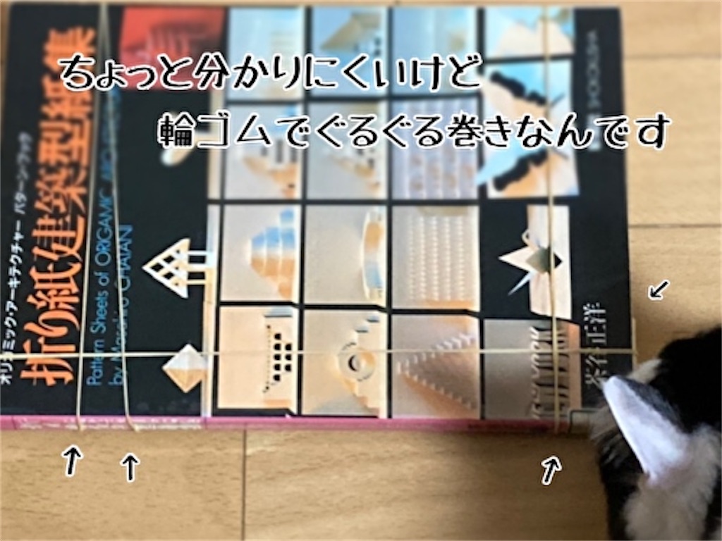 f:id:fukufukudo:20220117114105j:plain