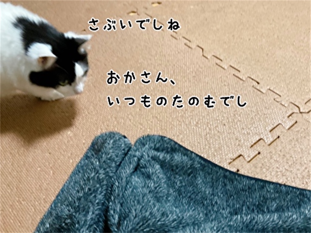 f:id:fukufukudo:20220120192103j:plain