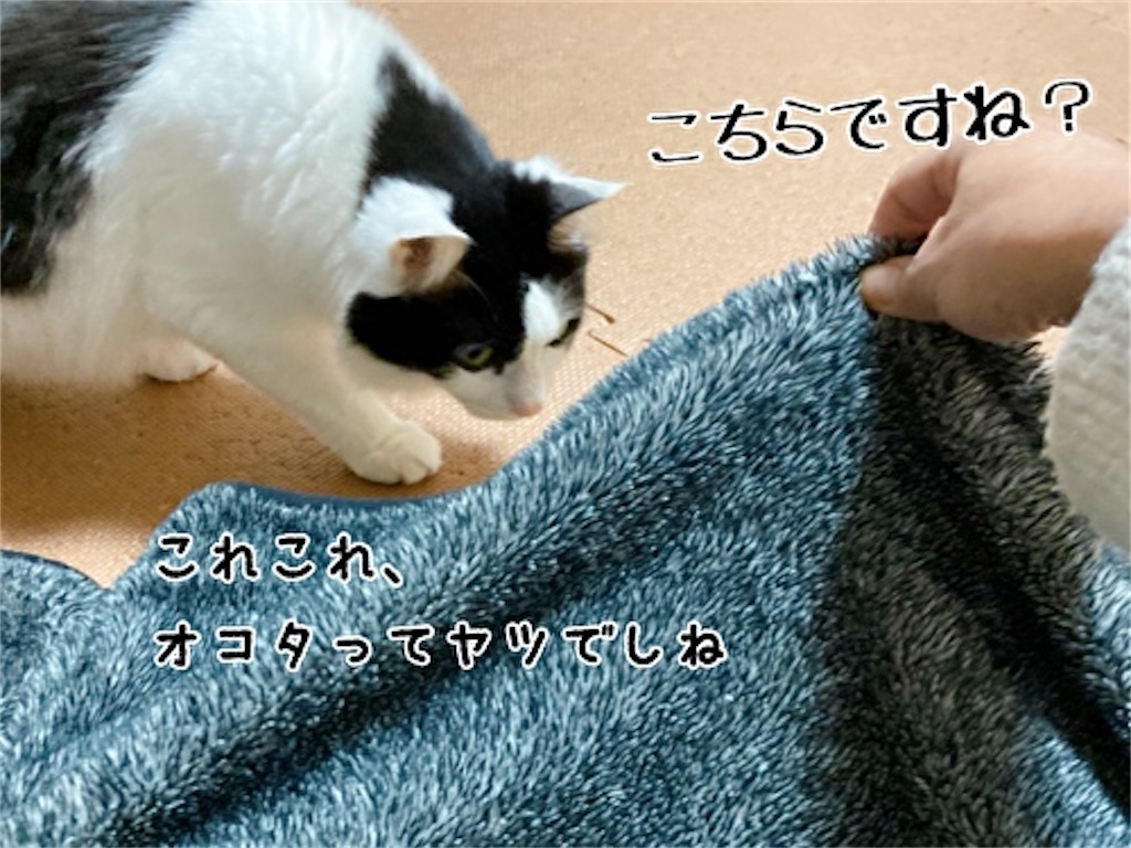 f:id:fukufukudo:20220120192141j:plain