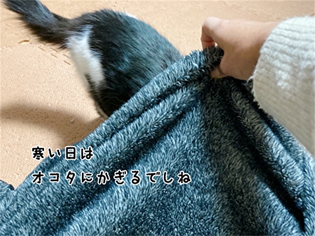 f:id:fukufukudo:20220120192156j:plain