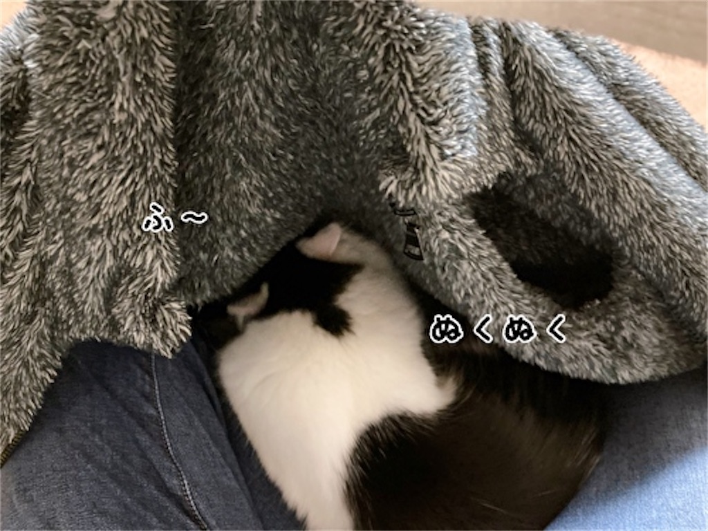 f:id:fukufukudo:20220120192212j:plain
